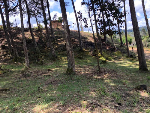 Lindo Lote En Venta En La Vereda La Enea De San Vicente Antioquia