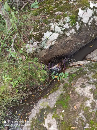 Chacra En Zona De Las Cañas, Buenas Vistas Con Tajamar Y Arroyos!