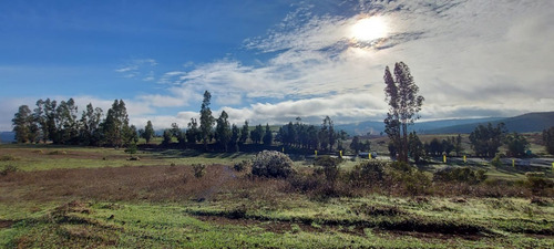 Imagen 4 de 9 de Campo Con Parcelas Con Arboles Nativos Y Pinos