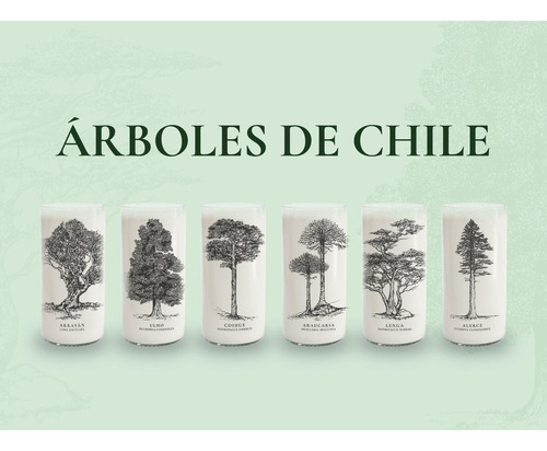 Juego De 6 Vasos Árboles De Chile