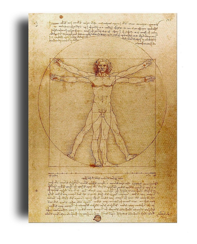 Cuadro Decorativo Canvas Da Vinci Hombre Vitruvio80*120