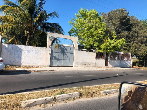 Imagen 15 de 16 de Terreno En Venta En Puerto Progreso, Yucatán