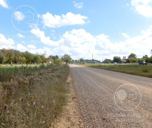 Imagen 8 de 12 de Venta - Lote - Terreno En Remanso - Exaltacion De La Cruz