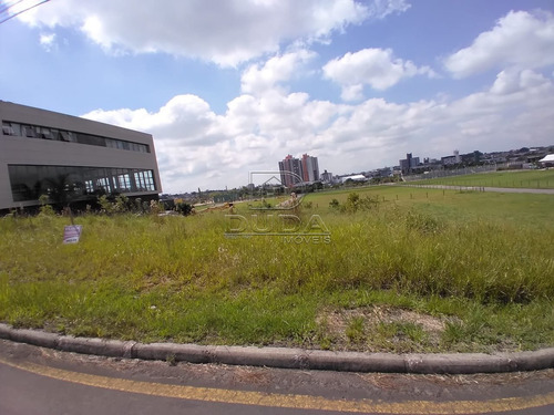 Imagem 3 de 6 de Terreno - Prospera - Ref: 33437 - V-33434