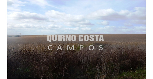 Imagen 4 de 8 de Campo Agricola Venta Sierra Los Padres Mar Del Plata Batan