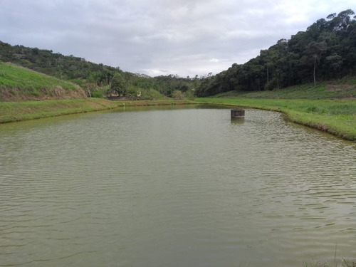 Imagem 19 de 30 de Sitio No Juquiá - St00024