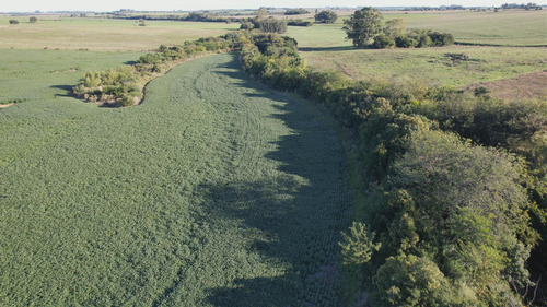 Campo Mixto Semilleros (colonia)