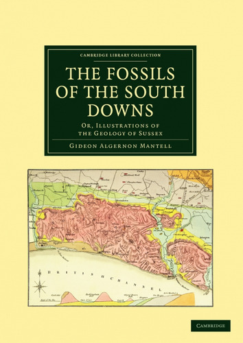Libro The Fossils Of The South Downs De Gideon Algernon Mant