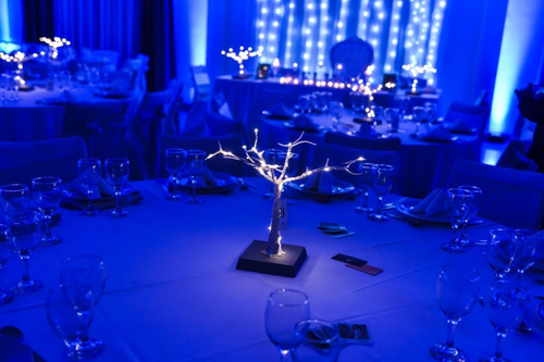 Alquiler Mobiliario Sillas Mesas Vajilla Eventos Decoración