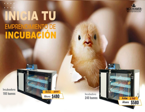 Imagen 7 de 9 de Incubadora De Pollos 240 Huevos Automática Rodillos Expertos