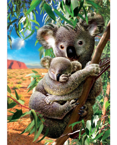 Rompecabezas 500pz Koalas