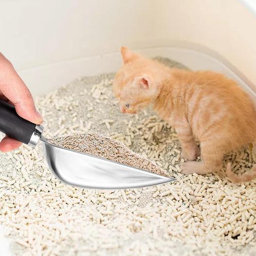 Colher Para Areia De Gato, Peneira De Metal Para Gatinhos,