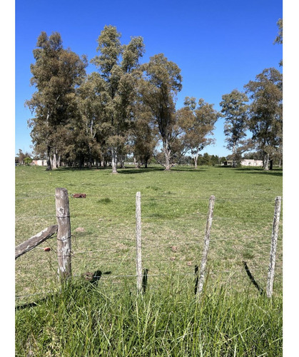 Lote Ubicado A 700 Metros Ruta 41 - San Miguel Del Monte