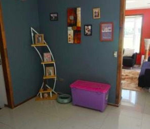 Excelente Casa En Parcela, 3 Dorm 3b Entre P Montt Y P Varas