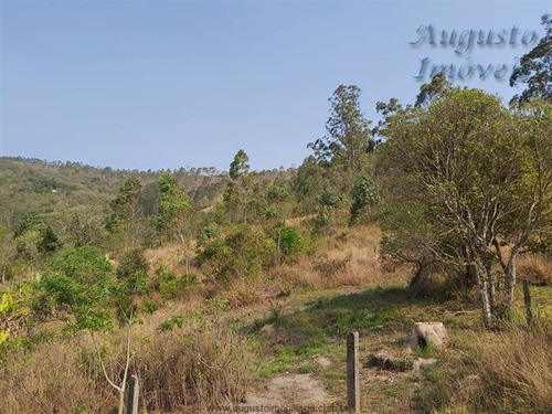 Imagem 25 de 29 de Chácaras À Venda Em Mairiporã/sp - Compre O Seu Chácaras Aqui! - 1469994