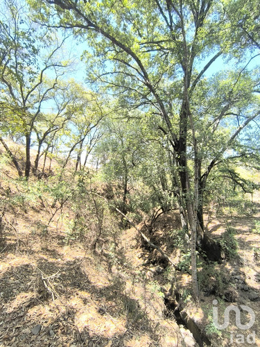 Venta Terreno 0 Ambiente La Piní