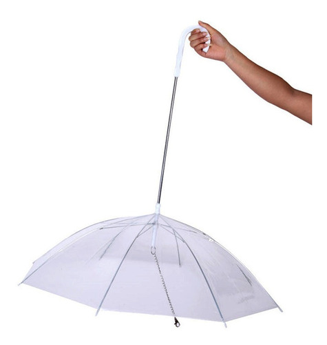 Guarda-chuva Para Cachorro Transparente - The Pets Brasil