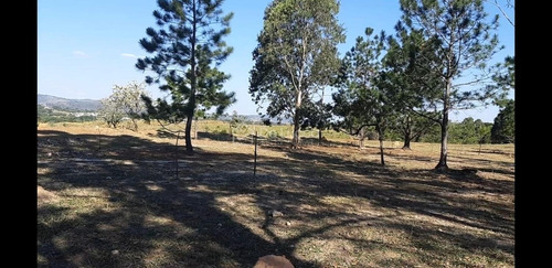 Imagem 6 de 9 de Terreno À Venda Em Dois Córregos - Te011341