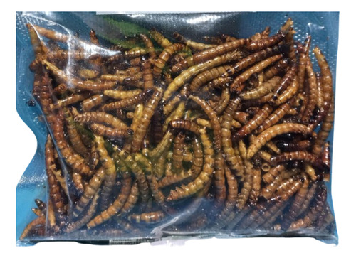 Alimento Para Peces: Zophobas Deshidratadas X 100grs