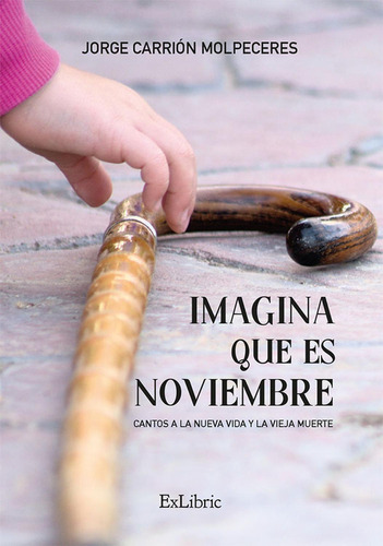 Imagina Que Es Noviembre, De Jorge Carrión Molpeceres. Editorial Exlibric, Tapa Blanda, Edición 1 En Español, 2021