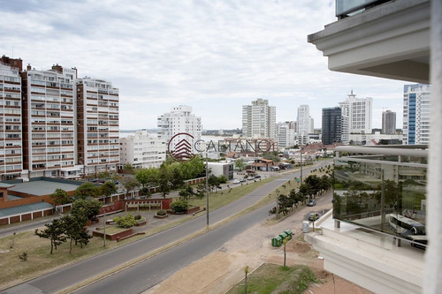 Imagen 22 de 25 de Torre Imperiale Iii - Punta Del Este Brava