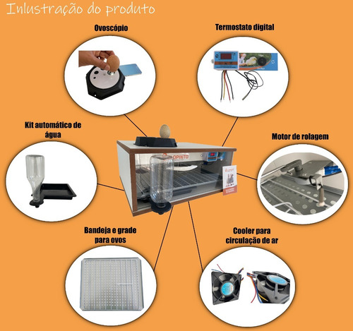 Imagem 2 de 8 de Chocadeira 115 A 120 Ovos Com + Ovoscópio+ Kit Automático