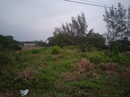 Terreno Venta 1358m² Carr Tuxpan Tamiahua En Tuxpan Veracruz