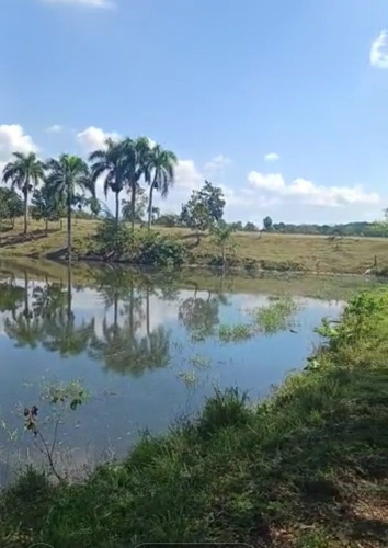 Vendo Finca 350 Tareas Moca Espaillat
