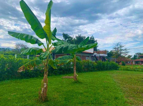 Imagen 2 de 4 de Lote En La Virginia, Risaralda - Se Vende