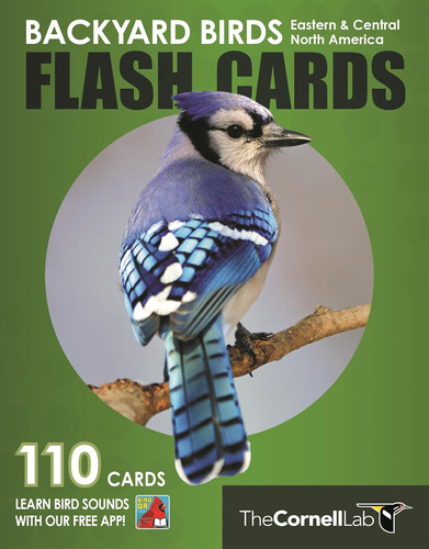 Libro: Backyard Birds Flash Cards Eastern & Central North Of