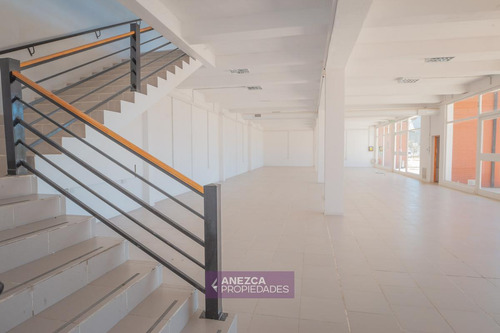 Imagen 7 de 11 de Se Alquila - Local Comercial - 650 Mts2 - El Bolsón