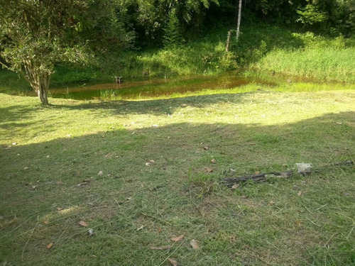 Imagem 12 de 18 de Juquitiba/miracatu/sitio C/boa Casa/lago/ac/propostas/ref:05334