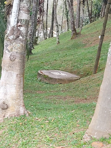 Imagem 20 de 20 de Chácara À Venda Em Juquitiba Com Piscina Ideal Para Moradia 12.000 M²