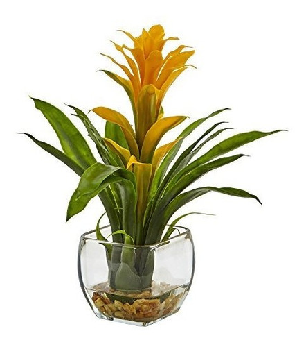 Bromelia 6897-ilo Casi Natural Con Arreglo De Florero De Vid