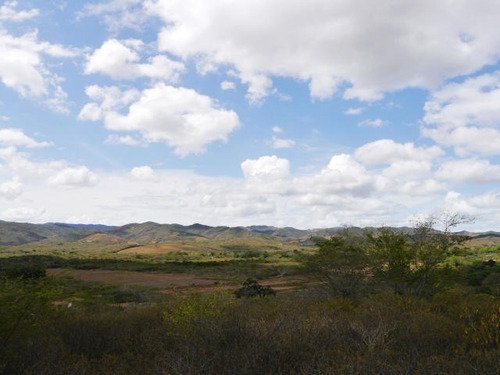 Imagen 20 de 30 de Linda Granja Con Más De 2 Hectáreas A Sólo 15 Minutos De Bqto En Venta En Carretera Rastrojitos-tacariguita, Municipio Crespo, Lara, Venezuela. Arnaldo Lopez Tlf. 04245257450 Cod. 22-18806