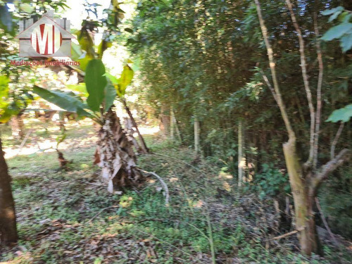 Imagem 16 de 30 de Ótima Chácara Com 2 Dormitórios, Córrego Nos Fundos, Pomar, Acesso Asfaltado, À Venda, 2000 M² Por R$ 280.000 - Rural - Socorro/sp - Ch1005