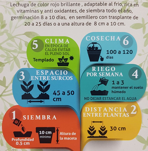 Semilla Lechuga Red Salad (rinde Para 800 Plantas)