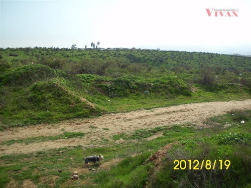 Imagen 7 de 7 de Sitio En Venta En Villa Alemana