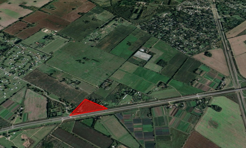 Imagen 7 de 8 de Alquiler 3 Hectareas Sobre Ruta 6
