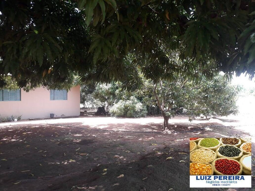 Imagem 15 de 15 de Fazenda À Venda Em Peixe - To - De 200 Alqueirões (dupla Aptidão) - 1721