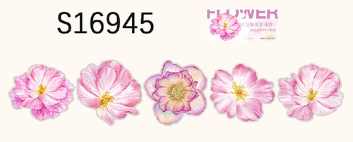 Set De 10 Stickers Florales Transparentes  Corola De Flor 