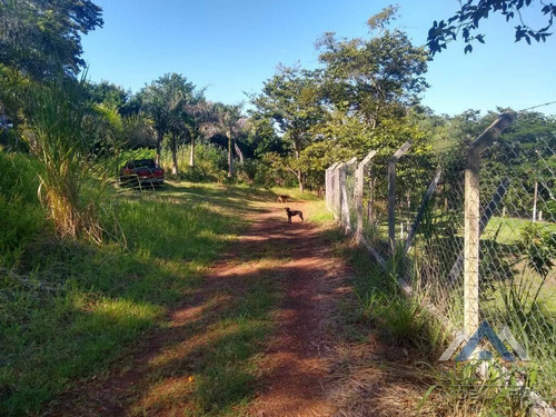 Chácara Com 1 Dormitório À Venda, 8700 M² Por R$ 220.000,00 - Água Do Pari - Jataizinho/pr - Ch0052