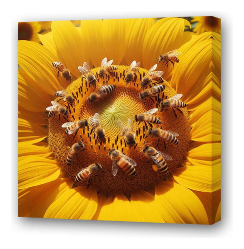 Cuadro 60x60cm Flores Y Abejas Miel Naturaleza Bees M1