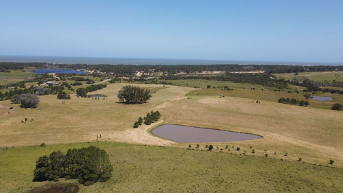 Imagen 16 de 30 de Chacra En Venta, Fraccion De 20 Has En Jose Ignacio (ref: Atm-6766)