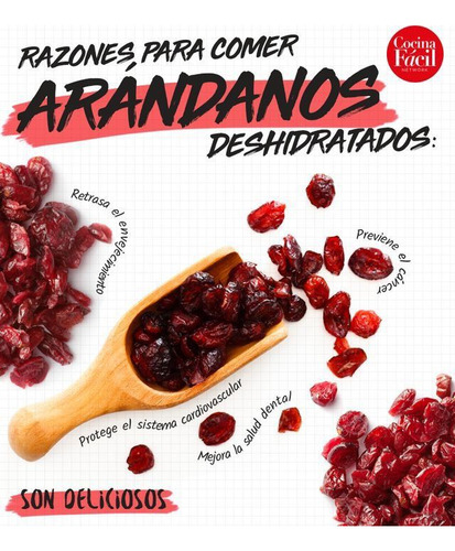 Arándano Deshidratado Natural Sin Conservadores Ni Azúcar