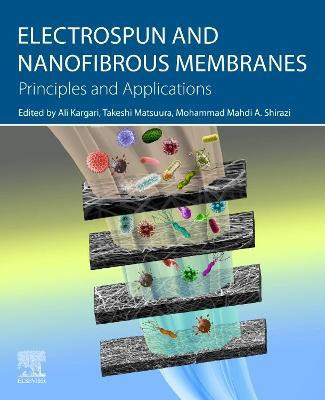 Libro Electrospun And Nanofibrous Membranes : Principles ...