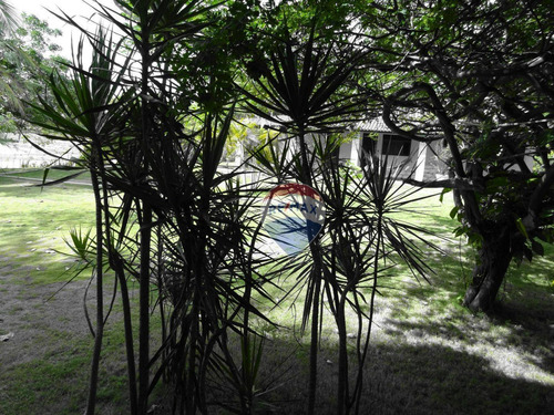 Chácara/granja A Venda Na Lagoa Do Bom Fim, 13300 M² - Nísia Floresta/rn - Ch0003
