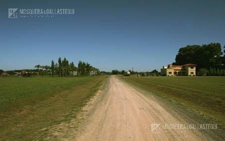 Mosquera Y Gallastegui - Casa - La Ranita