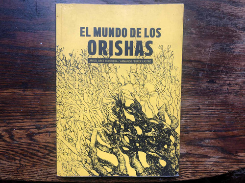 Libro El Mundo De Los Orishas