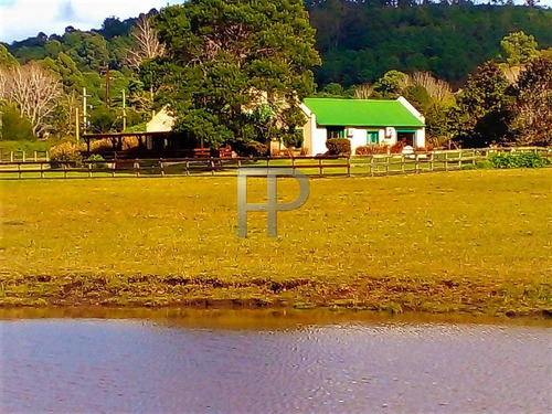 Imagen 2 de 13 de Chacra En Venta Punta Ballena 3 Dorm, 10 Has #1824